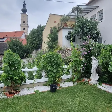 Innenstadtgarten-wohnung *