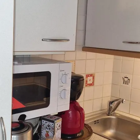 Innenstadtgarten-wohnung *